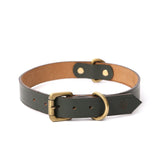BIG DOG COLLAR CLASSIC