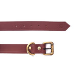 BIG DOG COLLAR CLASSIC