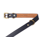 BIG DOG COLLAR CLASSIC