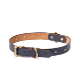 BIG DOG COLLAR RD. STUD
