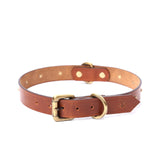BIG DOG COLLAR RD. STUD