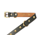 BIG DOG COLLAR SQ. STUD