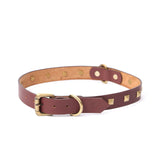 BIG DOG COLLAR SQ. STUD