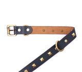 BIG DOG COLLAR SQ. STUD