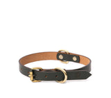 SMALL DOG COLLAR CLASSIC