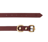 SMALL DOG COLLAR CLASSIC