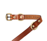SMALL DOG COLLAR CLASSIC