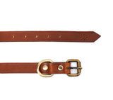 SMALL DOG COLLAR CLASSIC