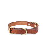 SMALL DOG COLLAR CLASSIC