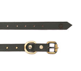 SMALL DOG COLLAR RD. STUD