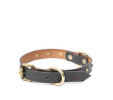 SMALL DOG COLLAR RD. STUD