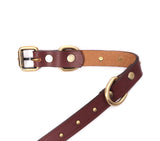 SMALL DOG COLLAR RD. STUD