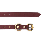 SMALL DOG COLLAR RD. STUD