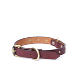 SMALL DOG COLLAR RD. STUD