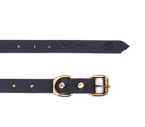 SMALL DOG COLLAR RD. STUD