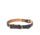 SMALL DOG COLLAR RD. STUD