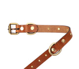 SMALL DOG COLLAR RD. STUD