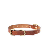SMALL DOG COLLAR RD. STUD