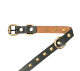 SMALL DOG COLLAR SQ. STUD