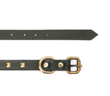 SMALL DOG COLLAR SQ. STUD