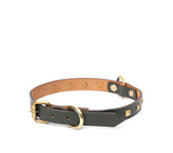 SMALL DOG COLLAR SQ. STUD