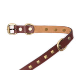 SMALL DOG COLLAR SQ. STUD