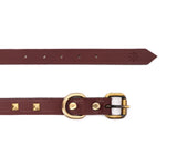 SMALL DOG COLLAR SQ. STUD