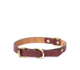 SMALL DOG COLLAR SQ. STUD