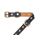 SMALL DOG COLLAR SQ. STUD