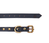 SMALL DOG COLLAR SQ. STUD