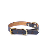 SMALL DOG COLLAR SQ. STUD