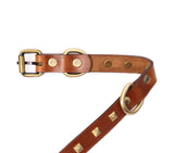 SMALL DOG COLLAR SQ. STUD