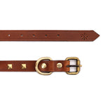 SMALL DOG COLLAR SQ. STUD