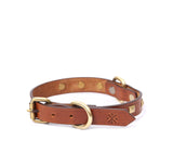 SMALL DOG COLLAR SQ. STUD